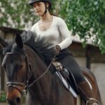 découvrez nos tests de dressage pour améliorer les compétences de votre cheval. évaluations précises et conseils personnalisés pour réussir vos séances d'entraînement.