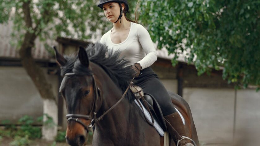 découvrez nos tests de dressage pour améliorer les compétences de votre cheval. évaluations précises et conseils personnalisés pour réussir vos séances d'entraînement.