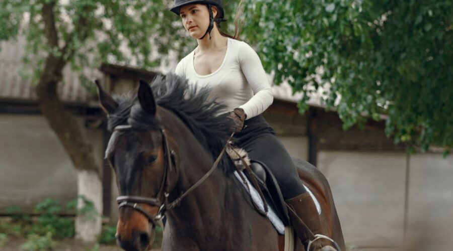 découvrez nos tests de dressage pour améliorer les compétences de votre cheval. évaluations précises et conseils personnalisés pour réussir vos séances d'entraînement.