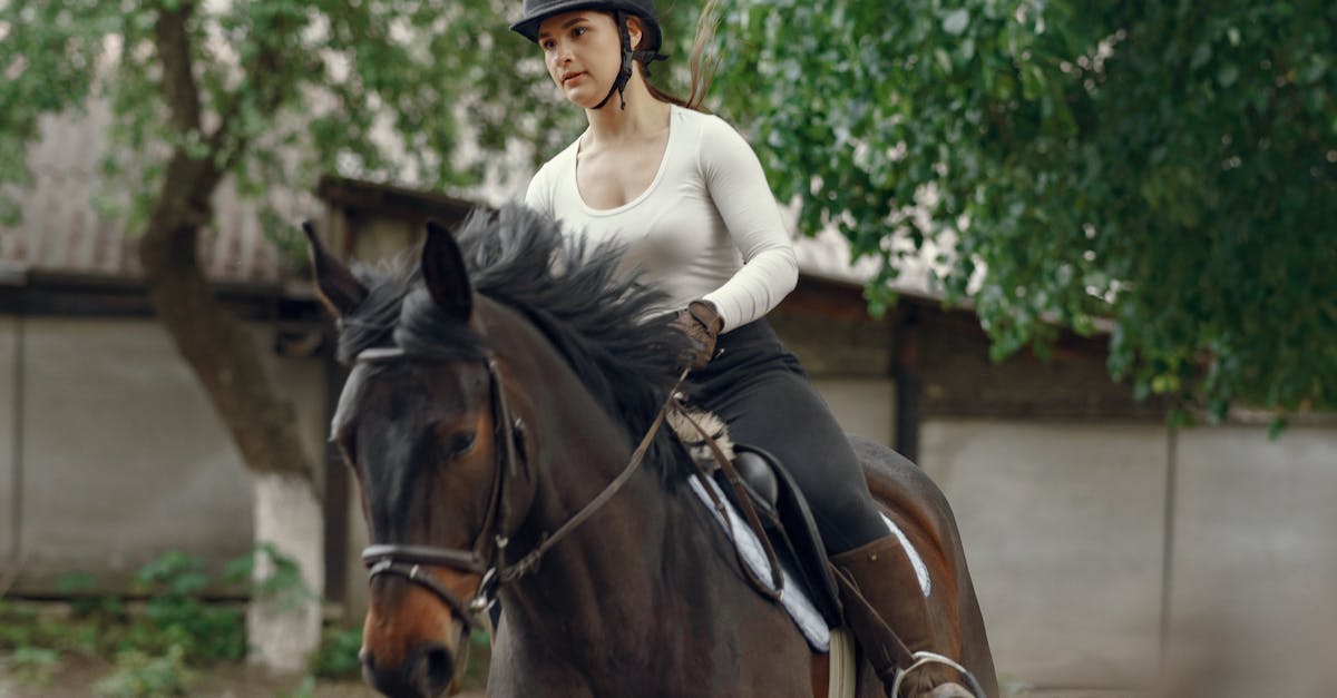 découvrez nos tests de dressage pour améliorer les compétences de votre cheval. évaluations précises et conseils personnalisés pour réussir vos séances d'entraînement.