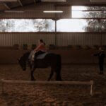 découvrez notre centre équestre, un lieu dédié à la passion du cheval pour tous les âges et tous les niveaux. cours, balades, compétitions et pension dans un cadre naturel.