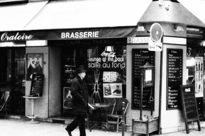 découvrez la french trotter breeding society, l'organisation dédiée à l'élevage et la promotion du trotteur français, garantissant excellence et passion pour les chevaux de trot.