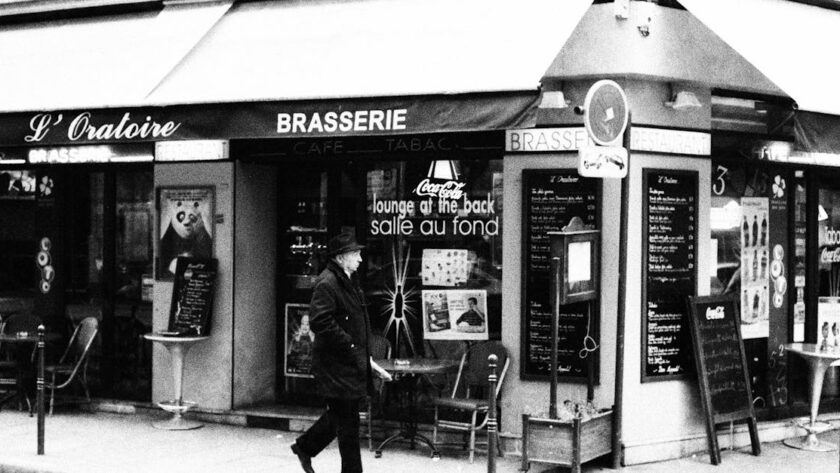découvrez la french trotter breeding society, l'organisation dédiée à l'élevage et la promotion du trotteur français, garantissant excellence et passion pour les chevaux de trot.