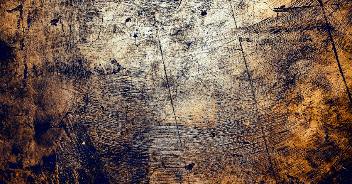 découvrez la signification et les caractéristiques du hennissement, le son distinctif produit par les chevaux pour communiquer leurs émotions.