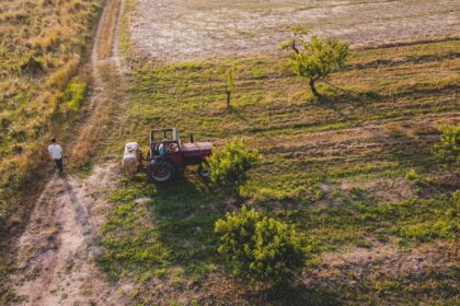 découvrez notre avis complet sur agradi, la plateforme de vente en ligne spécialisée dans les équipements agricoles et produits pour animaux. analyse des prix, qualité et service client.