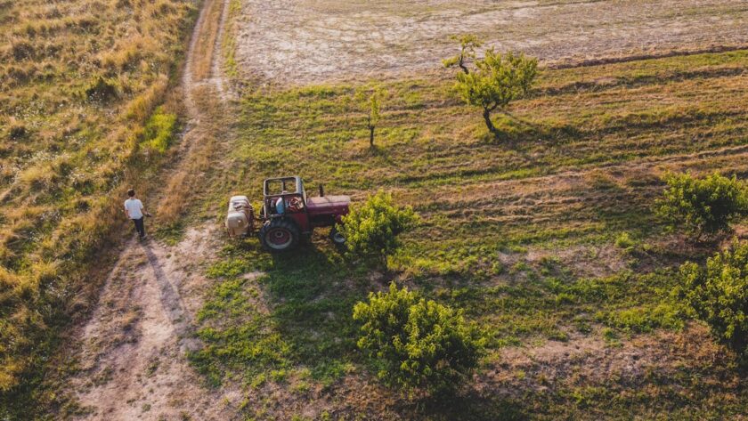 découvrez notre avis complet sur agradi, la plateforme de vente en ligne spécialisée dans les équipements agricoles et produits pour animaux. analyse des prix, qualité et service client.