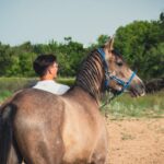 découvrez l'akhal-teke, un cheval légendaire connu pour sa beauté exceptionnelle, sa grande endurance et son pelage brillant unique. explorez son histoire fascinante et ses caractéristiques distinctives.