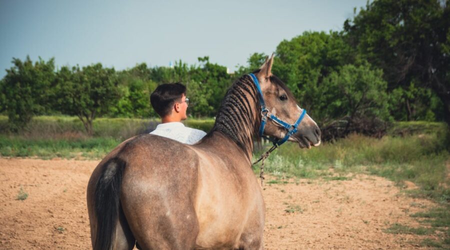 découvrez l'akhal-teke, un cheval légendaire connu pour sa beauté exceptionnelle, sa grande endurance et son pelage brillant unique. explorez son histoire fascinante et ses caractéristiques distinctives.