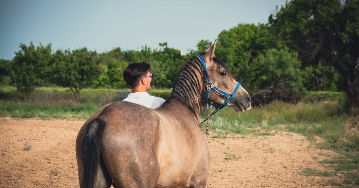 découvrez l'akhal-teke, un cheval légendaire connu pour sa beauté exceptionnelle, sa grande endurance et son pelage brillant unique. explorez son histoire fascinante et ses caractéristiques distinctives.