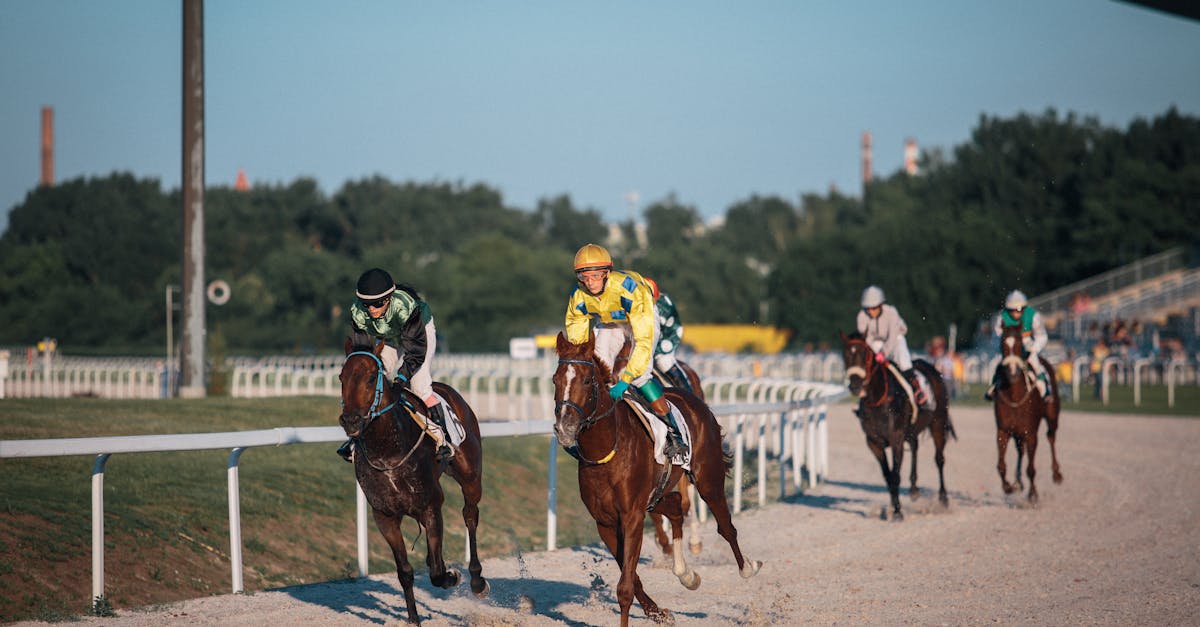 découvrez nos pronostics de courses hippiques pour maximiser vos chances de gagner. analyses expertes, conseils et résultats des courses de chevaux.