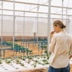 découvrez l'agriculture écologique innovante, une approche durable qui allie technologie et respect de l'environnement pour un avenir meilleur.