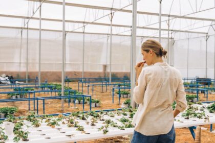 découvrez l'agriculture écologique innovante, une approche durable qui allie technologie et respect de l'environnement pour un avenir meilleur.