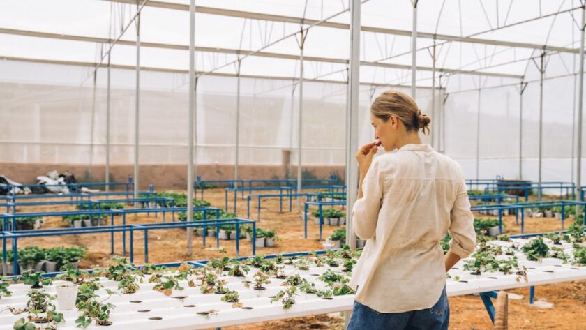 découvrez l'agriculture écologique innovante, une approche durable qui allie technologie et respect de l'environnement pour un avenir meilleur.