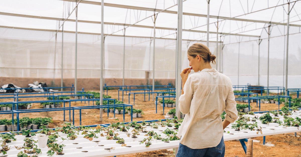 découvrez l'agriculture écologique innovante, une approche durable qui allie technologie et respect de l'environnement pour un avenir meilleur.