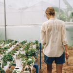 découvrez l'aquaponie, une méthode innovante et écologique combinant aquaculture et culture hydroponique pour produire des aliments frais et durables.