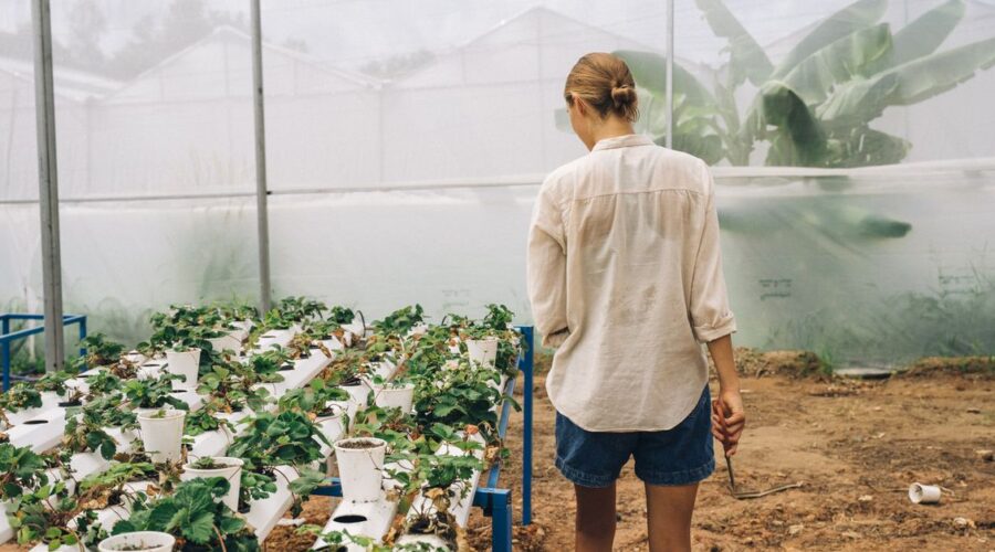 découvrez l'aquaponie, une méthode innovante et écologique combinant aquaculture et culture hydroponique pour produire des aliments frais et durables.