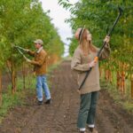 découvrez les meilleures techniques d'élagage pour entretenir vos arbres et arbustes, favoriser leur croissance et assurer une bonne santé végétale.