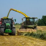 découvrez les différences entre le foin de première et de deuxième coupe pour les chevaux : texture, valeur nutritive et conseils pour choisir le plus adapté.