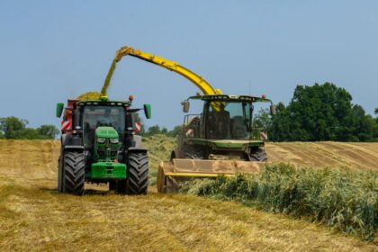 découvrez les différences entre le foin de première et de deuxième coupe pour les chevaux : texture, valeur nutritive et conseils pour choisir le plus adapté.