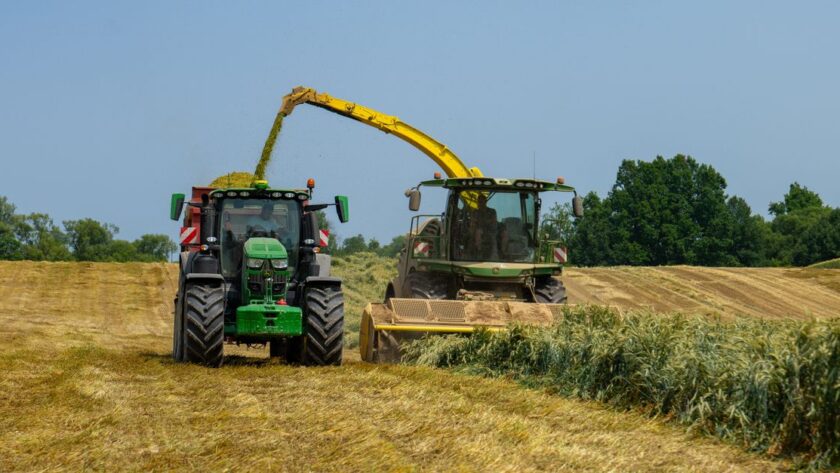 découvrez les différences entre le foin de première et de deuxième coupe pour les chevaux : texture, valeur nutritive et conseils pour choisir le plus adapté.