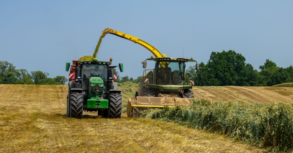 découvrez les différences entre le foin de première et de deuxième coupe pour les chevaux : texture, valeur nutritive et conseils pour choisir le plus adapté.