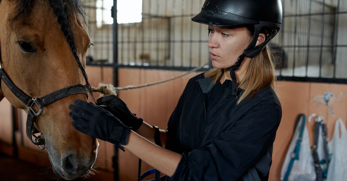 découvrez pourquoi les chevaux mangent de la terre, les causes possibles de la géophagie, ses risques pour leur santé et les solutions à envisager.